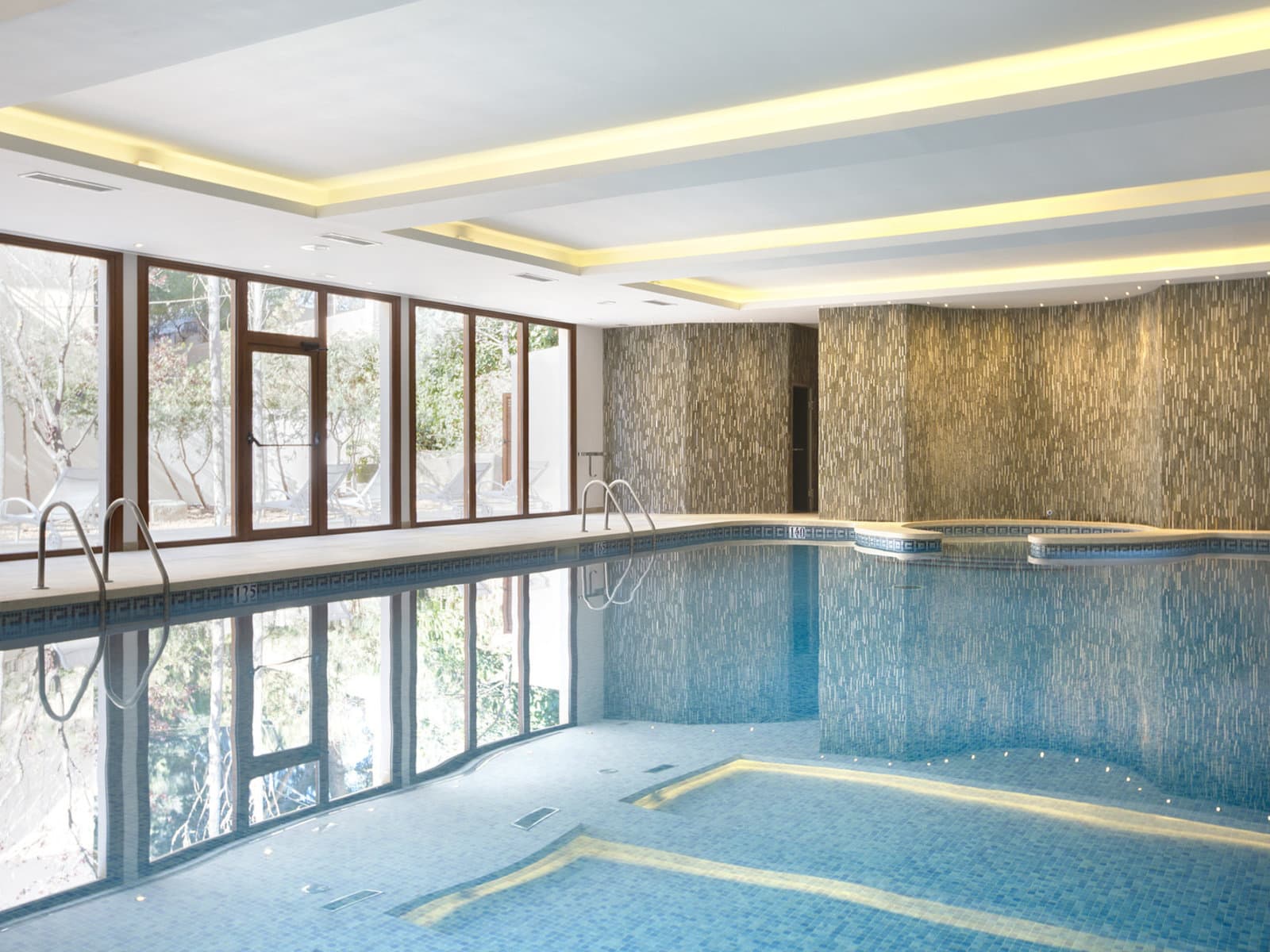 Wellness