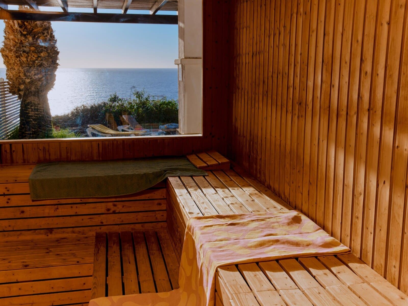 Wellness